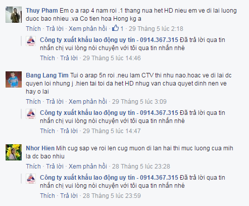 phan hoi arap di lai 2