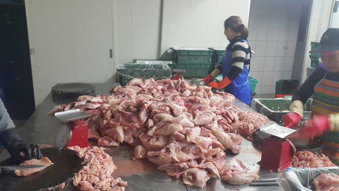 NHÀ MÁY PHẨM TIÊM ĐÀO VIÊN NHÀ MÁY PHẨM TIÊM ĐÀO VIÊN